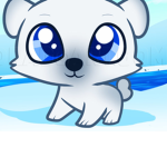Polar bear colony