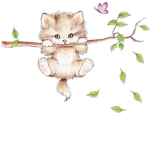 Cats!! I LOVE THEM!! :DD :3