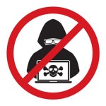 Hackers or Fans