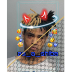 as_a_shiba