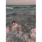 •Ocean Fans•