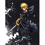 Kingdom Hearts Fan Clan
