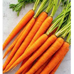 we worship carrots
