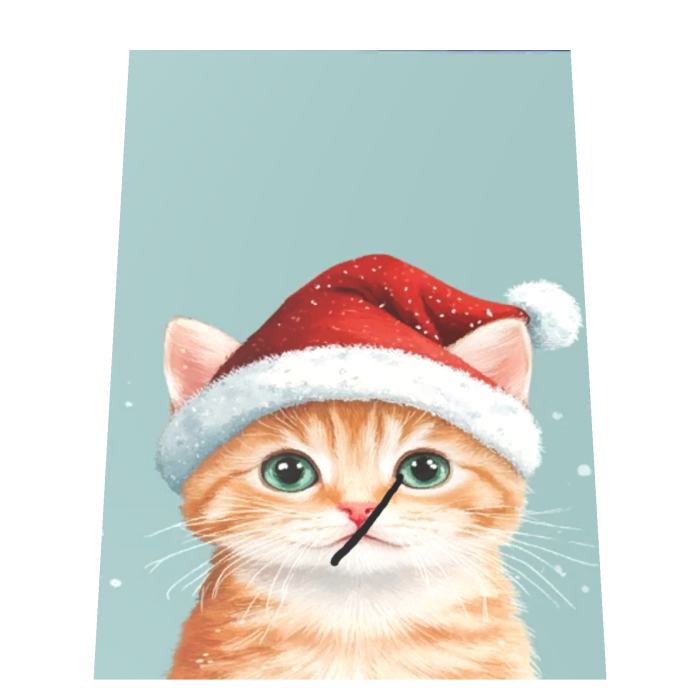 Cute Christmas Kitten Cat Winter Cape