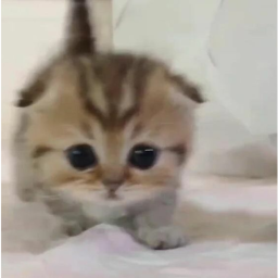 >.<