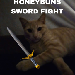 Honeybuns Sword Fight!
