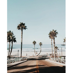 ♡︎