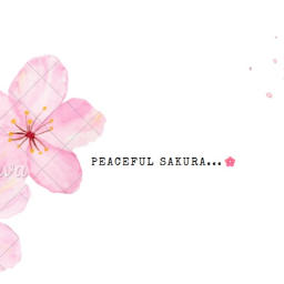 peaceful Sakura🌸🌿