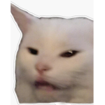 SP1RT