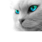 Oyun Çağı