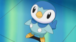 Blue Bird UGC