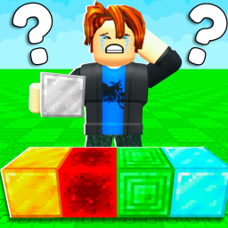 Guess The Blocks!