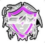 Shadow Assassins X: High Ranks