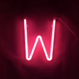Favorite Neon W icon