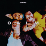 5 Seconds of Summer Family <3