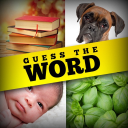 Try And Guess My Word