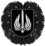 29. Waffen-Volunteer EG Division “Legion Italica”