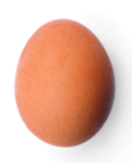 The Eggcult