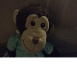 The cool music monkeys