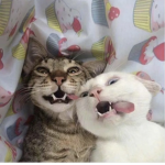 uhanensnwn