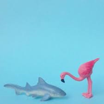 Flamingo/Shark Clan