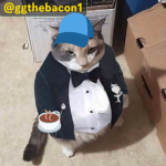 TheBacon123