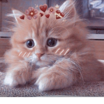 ruriiex
