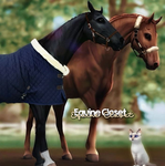 - Equine Closet ::