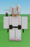 The Roblox Official Fan club