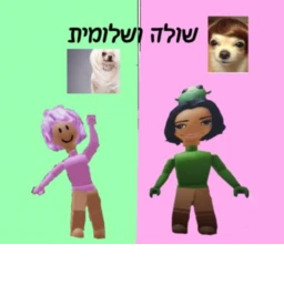 מףגש icon