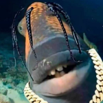 Fisching Lords
