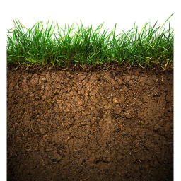Earth Worm Home