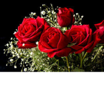 Nutty Roses