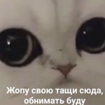 крейзи