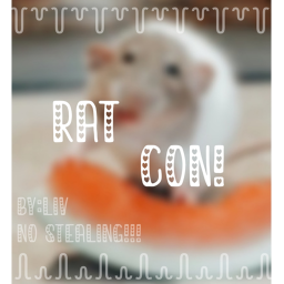 Rat Con!