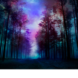 vibe forest