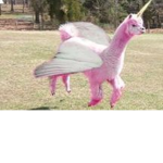 TheRealHappyLlamas