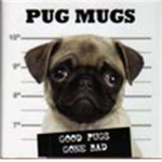 Pug's hip hop club