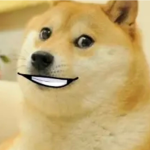 MisterDoggy Fan Group