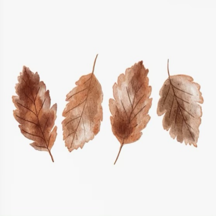 Brown orange white autumn fall leaves painting 1 Roblox decal