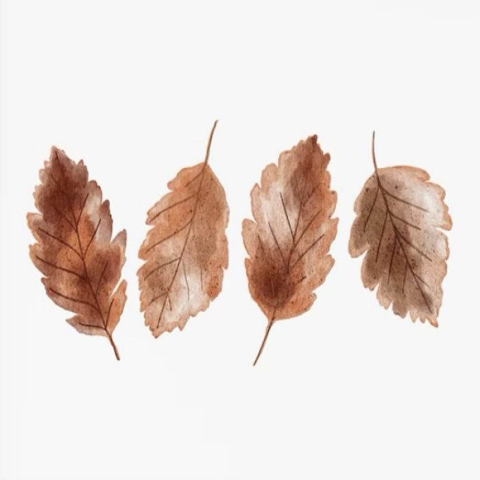 Brown orange white autumn fall leaves painting 1 Roblox decal