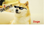 DOGE………….