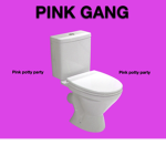 Pink Potty party