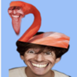 The flamingo community (not official)