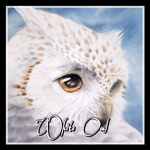 White Owl