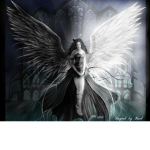 Dark Sides Of Angels
