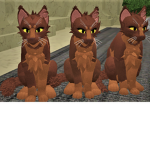 Salmon Squad!