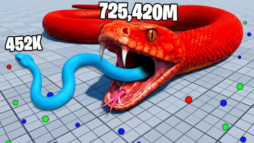 Snake Simulator
