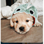 ~Clouds#####