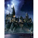Hogwarts family!!!!!!